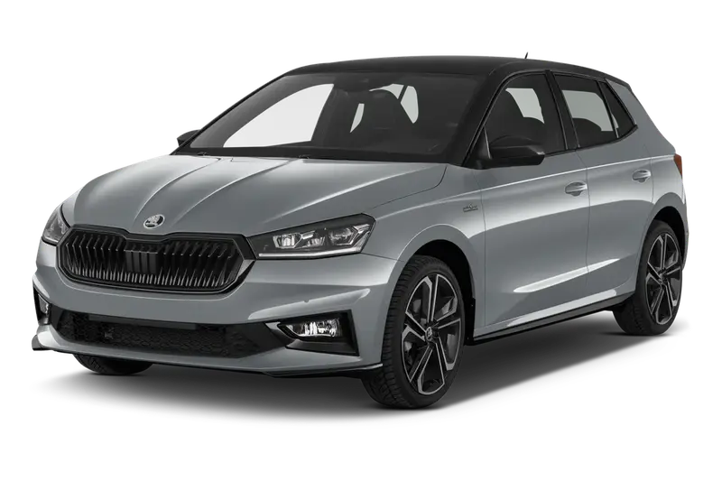 Skoda Fabia 1.0l MPI 59kW Selection